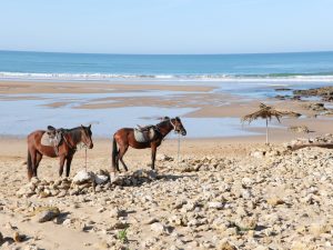 Beach of Sidi Kaouki, Maroc
