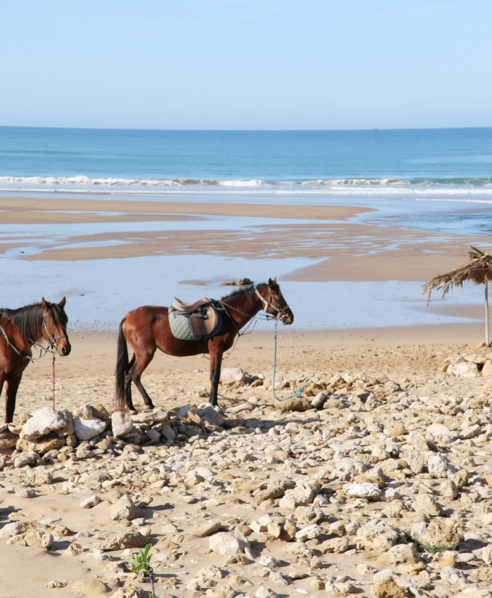 Beach of Sidi Kaouki, Maroc